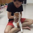 A. 深圳吴彦祖丨百润泰报关行-otto