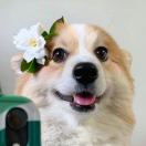 Casual的头像