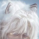 小贝のアバター