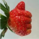 豆子's Avatar