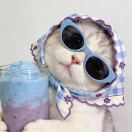 Hhhhh's Avatar