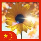 On my way的头像